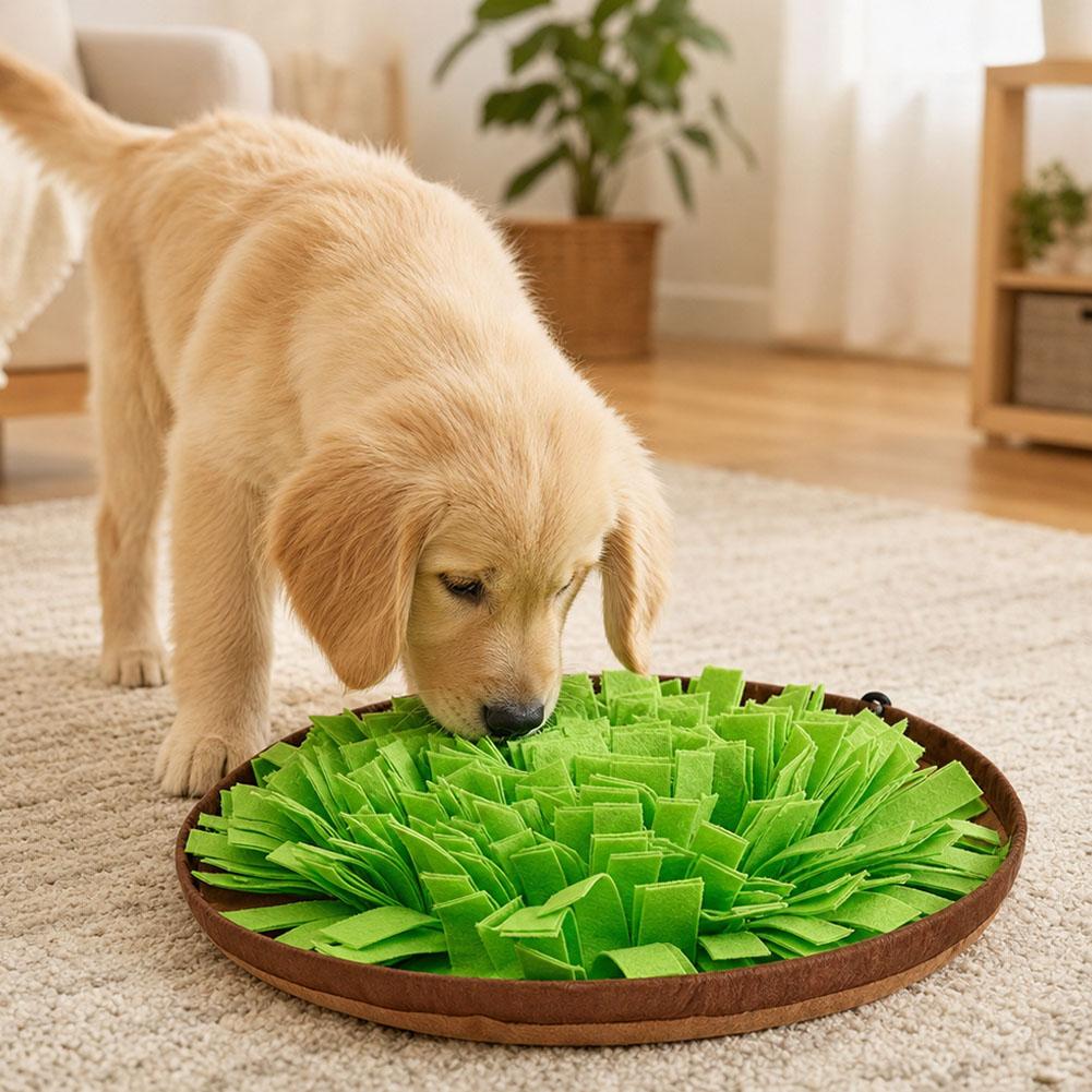 Dog Snuffle Mat Interactive Fe - đánh giá và giá Dog Puzzle Feeder Toy