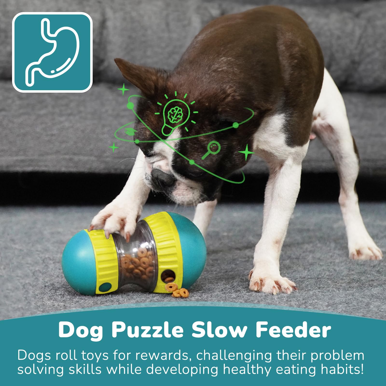 Dog Toys & Adjustable Slow Fee - đánh giá và giá Dog Puzzle Feeder Toy