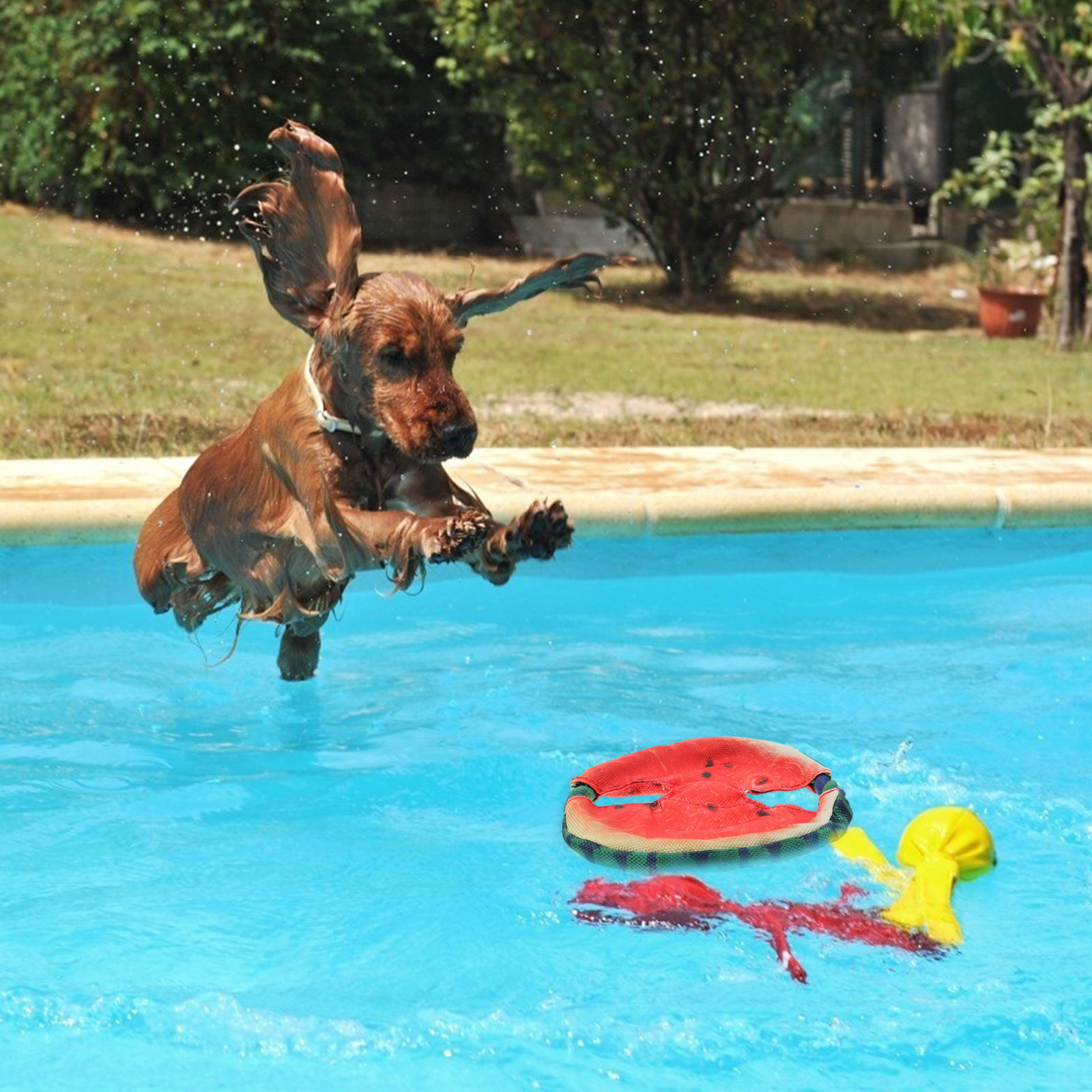 Dog Flying Disc Floating Water - đánh giá và giá Flying Disc Dog Training Toy